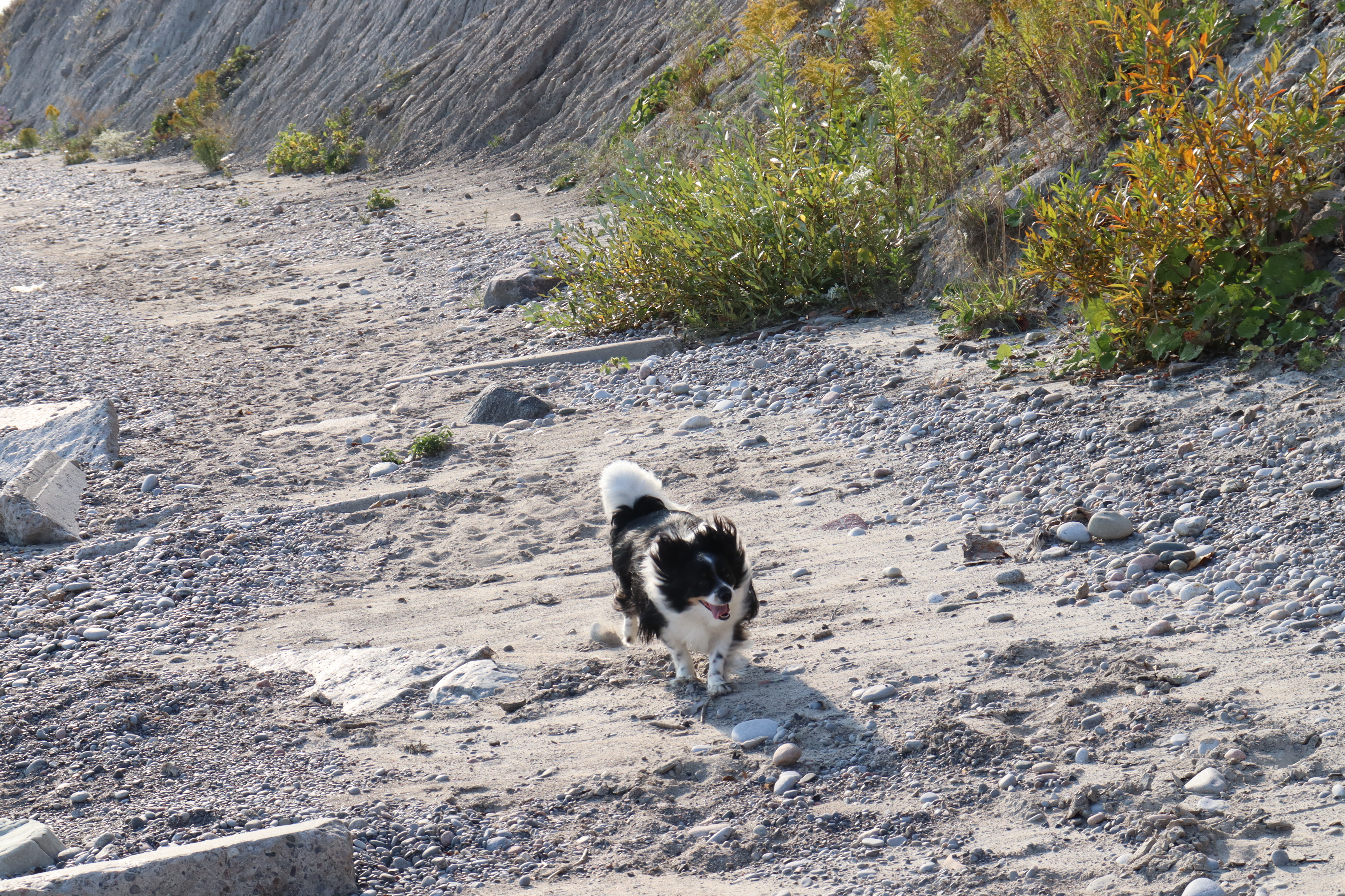 Long exposure with the highway car lights