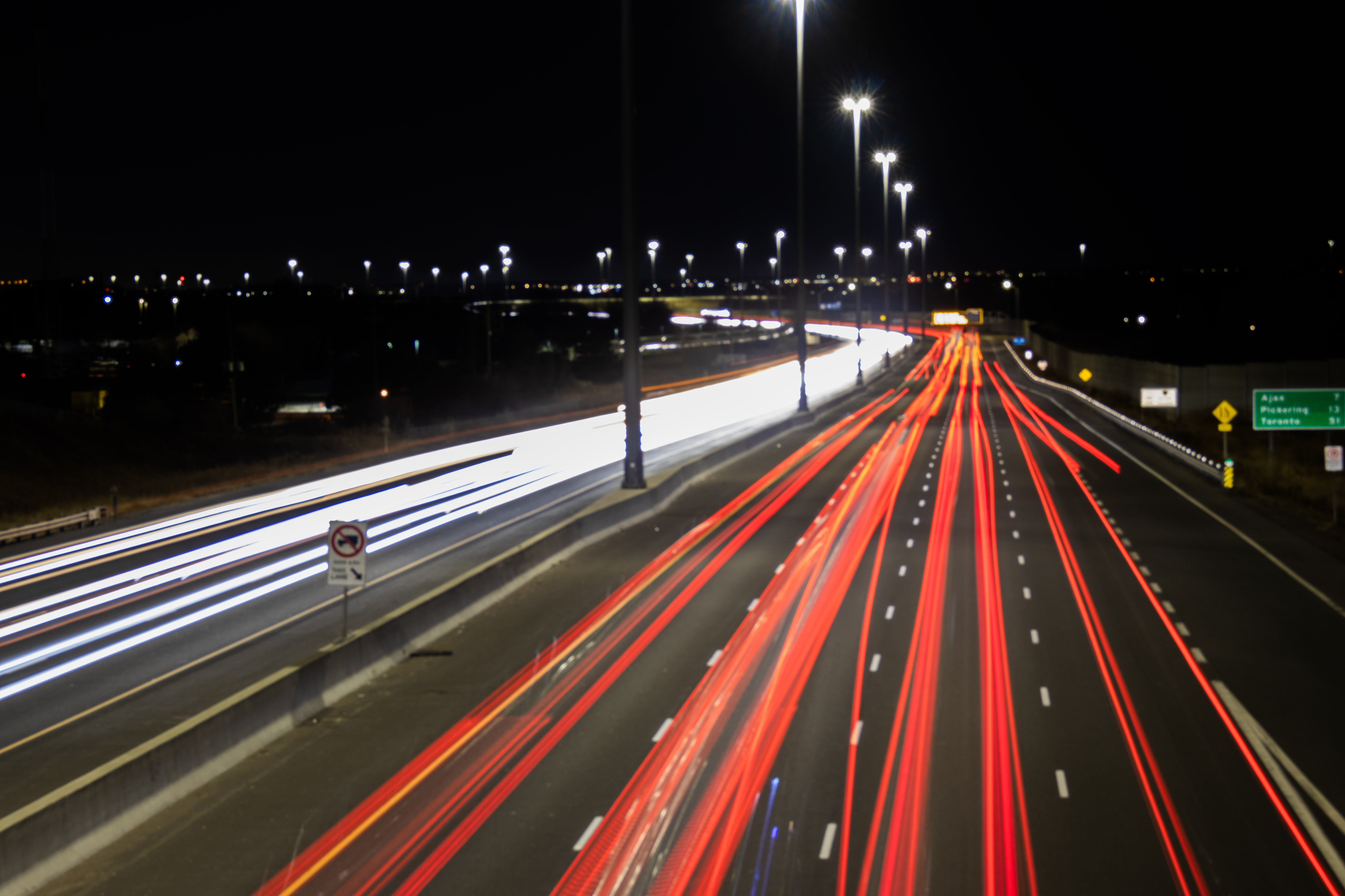 Dog Running on the beach